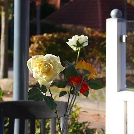 Haus Undine 01 Апартаменты *